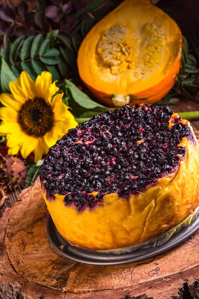 Torta di zucca con mirtilli rossi — Foto Stock