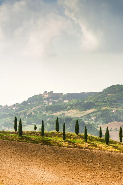 Campi vista Toscana — Foto Stock