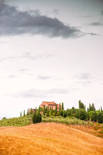 Campi vista Toscana — Foto Stock