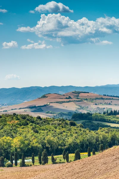 Campi vista Toscana — Foto Stock