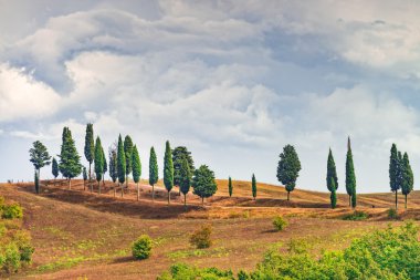 Tuscany görünümünde alanları