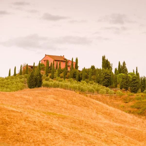 Vue sur les champs en Toscane — Photo