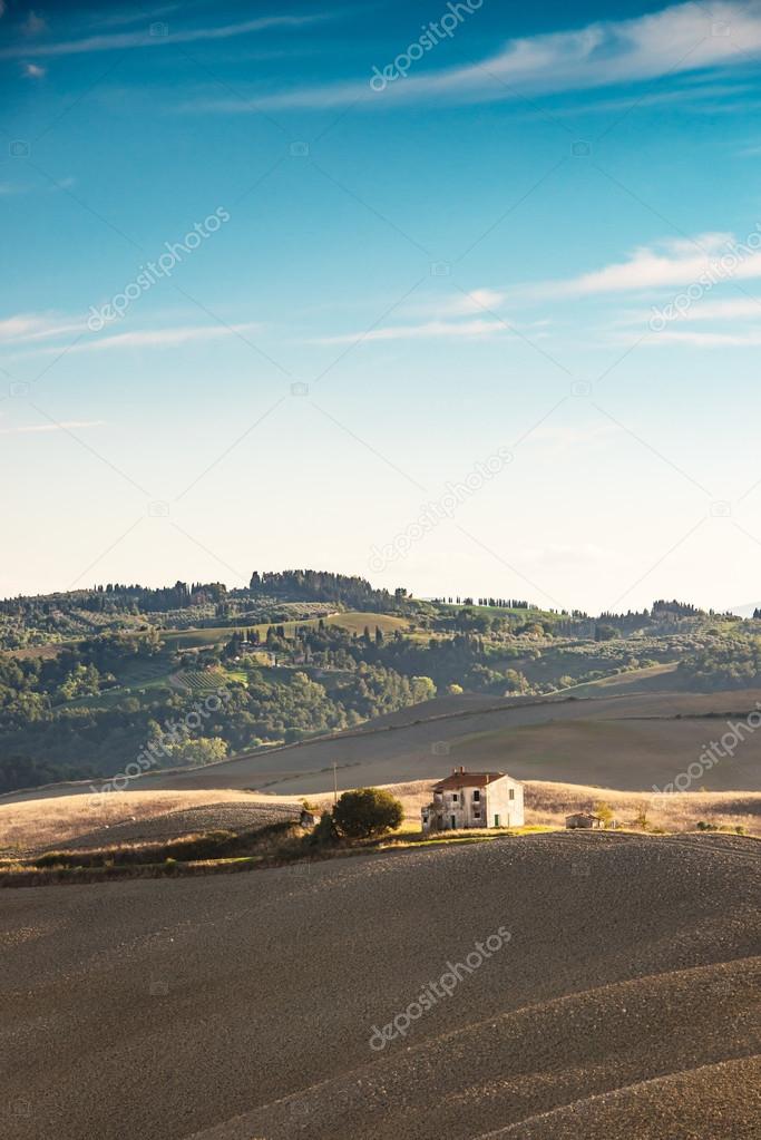 Fields view in Tuscany