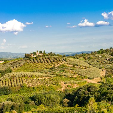 Tuscany görünümünde alanları