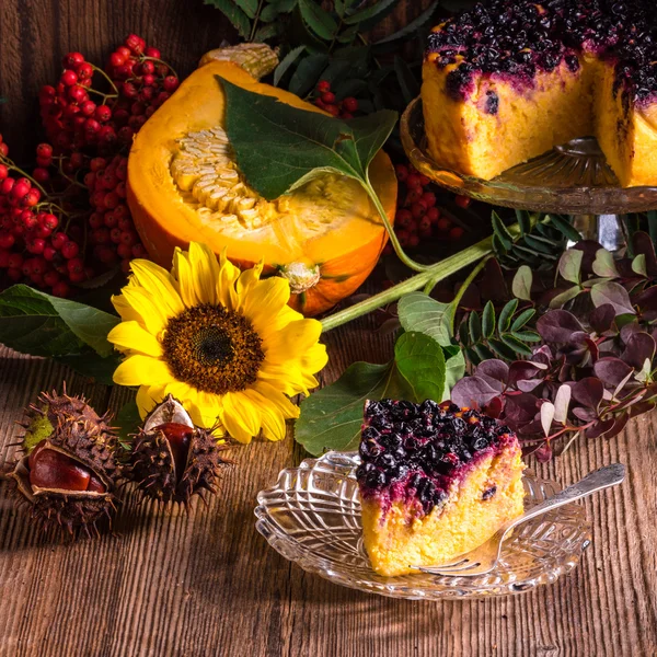 Torta di zucca con mirtilli rossi — Foto Stock