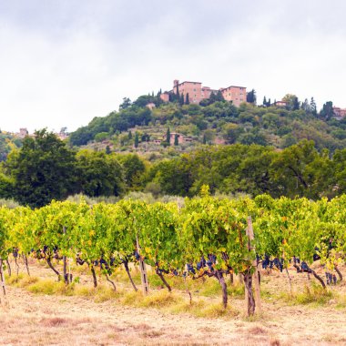 Tuscany görünümünde alanları