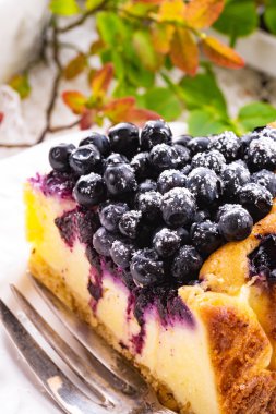 Yaban mersini ile ev yapımı cheesecake