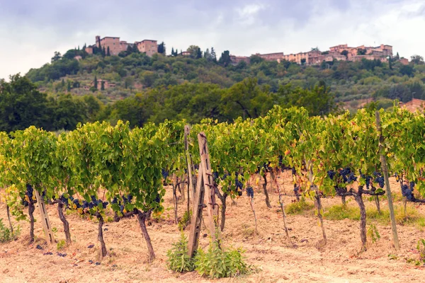 Tuscany görünümünde alanları