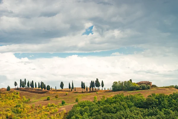 Campos vista en Toscana — Foto de Stock