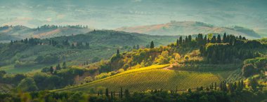 Tuscany görünümünde alanları