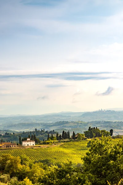 Campi vista Toscana — Foto Stock