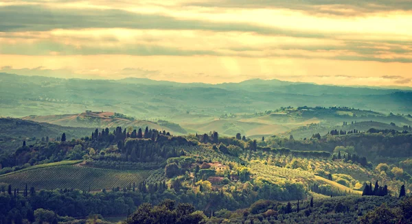 Vue sur les champs en Toscane — Photo