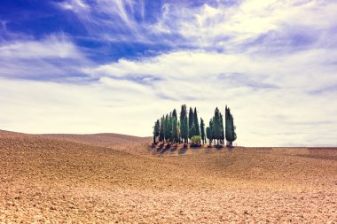 Tuscany görünümünde alanları