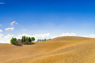 Tuscany görünümünde alanları
