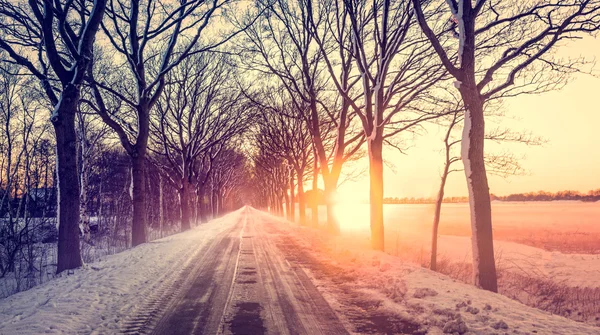 Beautiful winter landscape — Stock Photo, Image