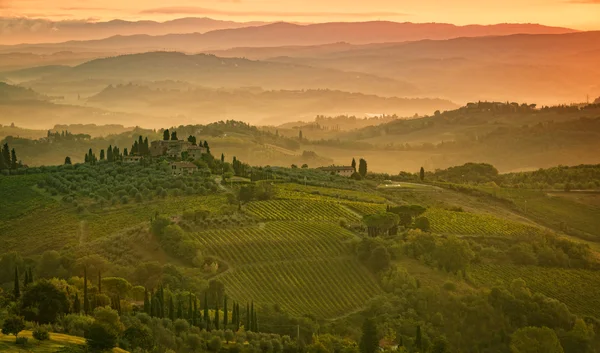 Vistas de campos na Toscana — Fotografia de Stock