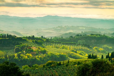 Tuscany görünümünde alanları