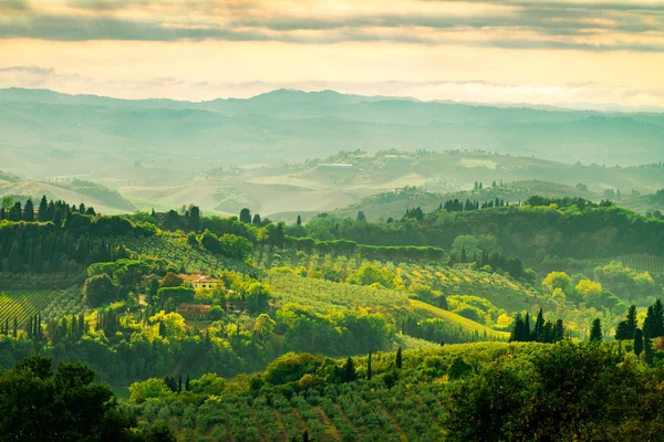 Campos vista en Toscana — Foto de Stock