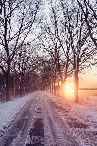 Beautiful winter landscape — Stock Photo, Image