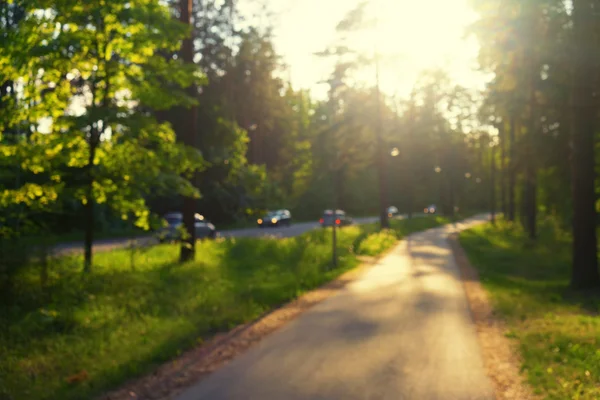 Drogi w zielonym lesie w słoneczny poranek. Rozmyte — Zdjęcie stockowe