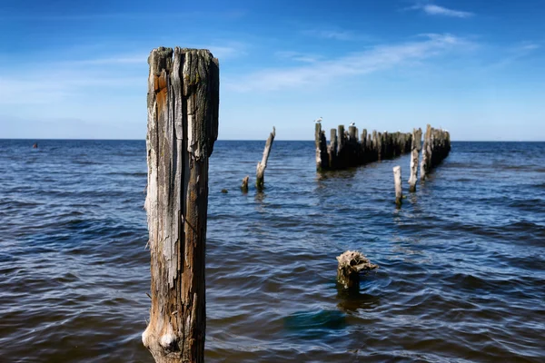 Σωροί από παλιά ξύλινη προβλήτα στη Βαλτική θάλασσα — Φωτογραφία Αρχείου