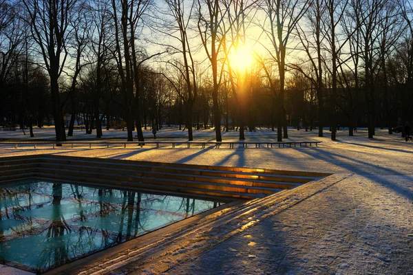 Arbres reflétés dans le verre de la zone moderne dans le parc — Photo