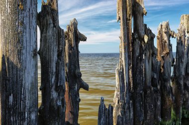 Eski iskele kalıntıları ile Baltık Denizi