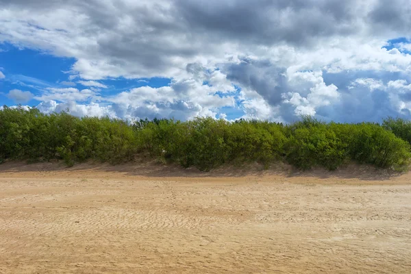 Sanddünen der Ostsee — Stockfoto