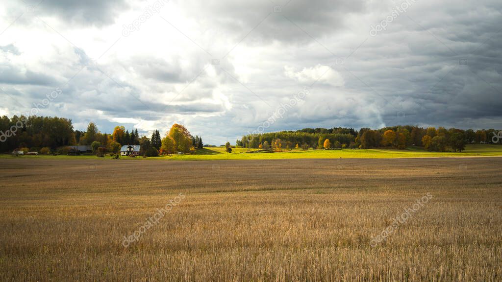 Mowed field against the background of autumn forest