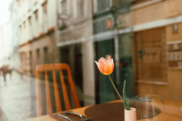 Tulip in a vase on the table cafe behind glass with a reflection of the life of the city of Riga in spring