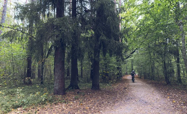 Trilha a pé no parque nacional no outono — Fotografia de Stock