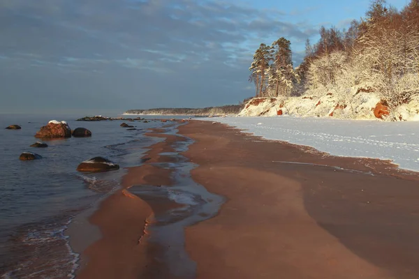 バルト海沿岸の氷の中の石 — ストック写真