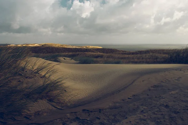 Vent dans les dunes de Neringa en automne — Photo