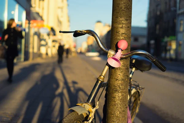 Bicycle with a pink signal in a tree on the street