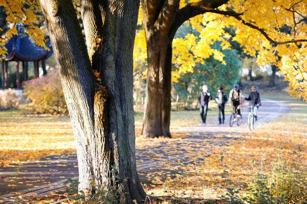 Group of young people in the alley in autumn park — Stock Photo, Image