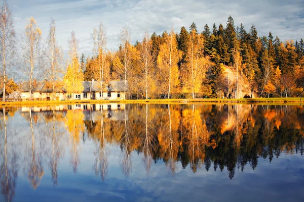 Пагорб з деревами з відображенням в озері осінь — стокове фото