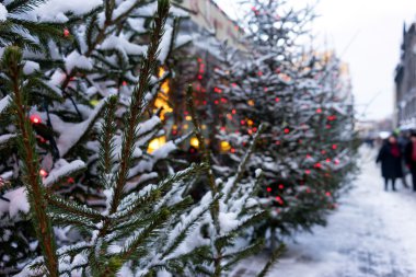 Şehir sokaklarını Noel ağacı ışıkları ile süslenmiştir