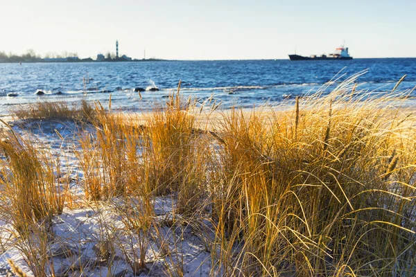 Le cargo entre dans le phare de la baie en hiver — Photo