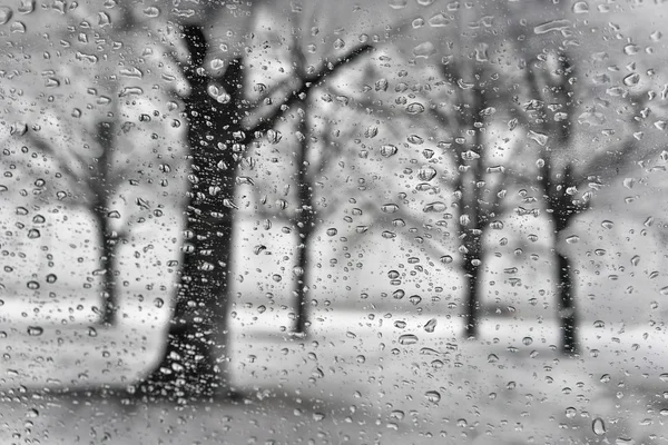 Parque de inverno com silhueta de árvore através das gotas de chuva em uma neve — Fotografia de Stock