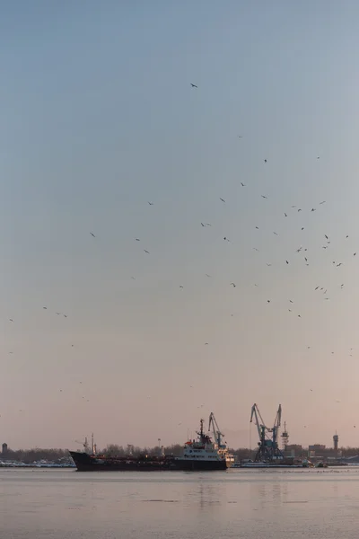 Seagulls latania żurawie na port i statek — Zdjęcie stockowe