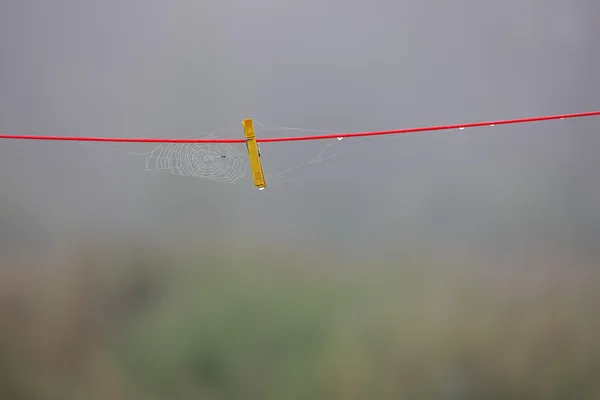 Gelbe Wäscheklammer und Spinnweben am roten Seil — Stockfoto