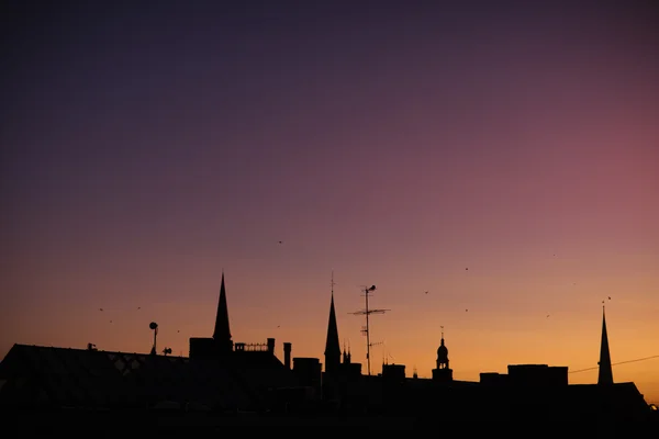 Silhuetas pináculo da catedral com um galo em Riga ao pôr do sol — Fotografia de Stock