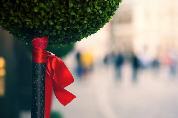 Zierbaum mit roter Schleife auf der Straße — Stockfoto