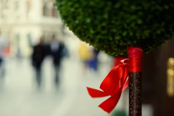 Albero ornamentale con fiocco rosso sulla strada — Foto Stock