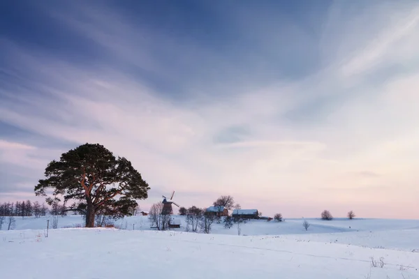 Paisagem rural de inverno com pinho e moinho — Fotografia de Stock