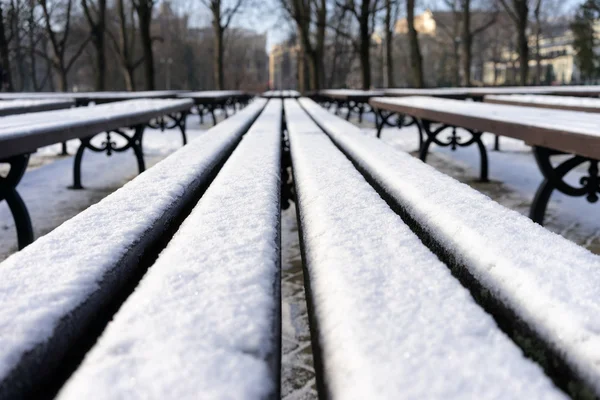 Reihe von Bänken im Park im Winter mit Schnee bedeckt — Stockfoto