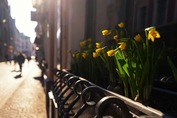 I turisti camminano per le strade della città sullo sfondo — Foto Stock