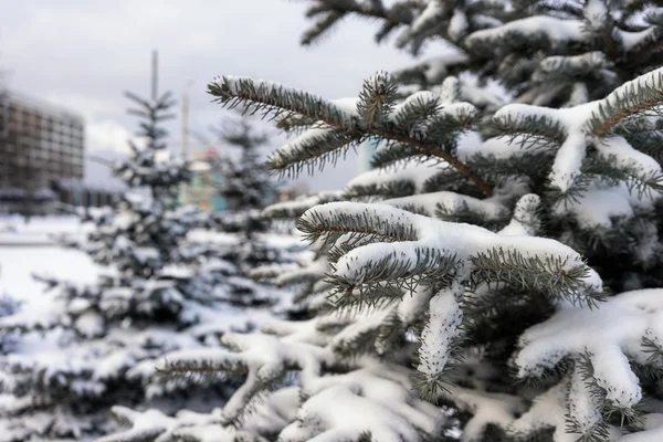 Ate nella neve in inverno nel centro della città — Foto Stock