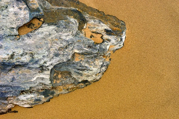 Piedra en la arena amarilla como la cabeza del perro — Foto de Stock