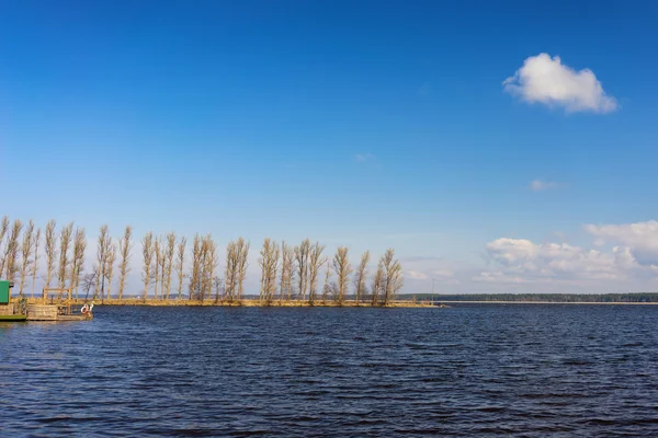 Пирс на озере в лесу на берегу в солнечный весенний день — стоковое фото